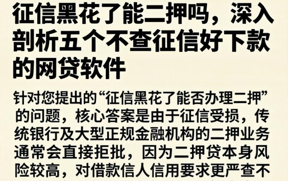 征信黑花了能二押吗，深入剖析五个不查征信好下款的网贷软件
