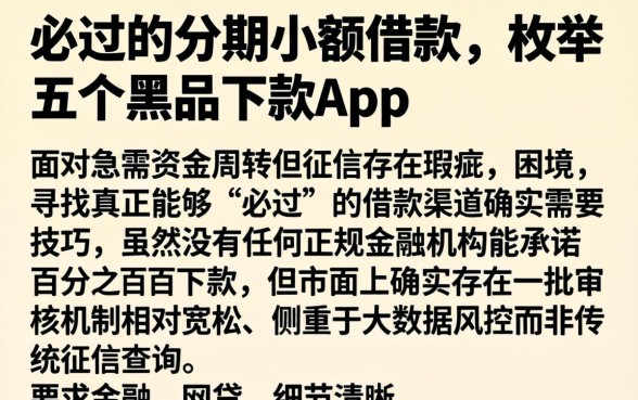 必过的分期小额借款，枚举五个黑户下款app