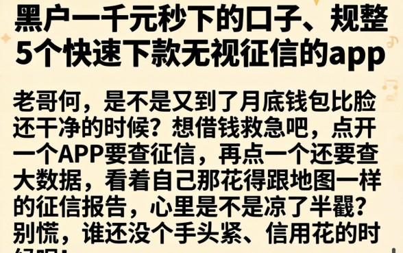 黑户一千元秒下的口子，规整5个快速下款无视征信的app