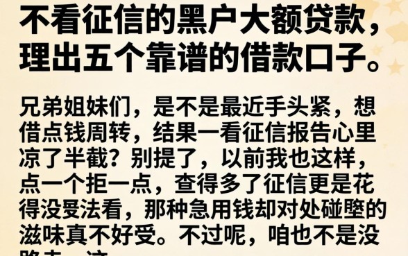 不看征信的黑户大额贷款,理出五个靠谱的借款口子
