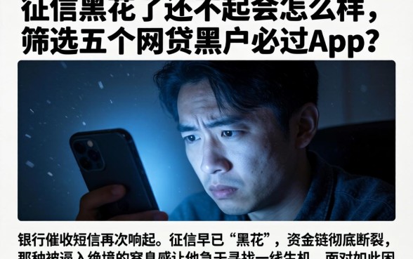 征信黑花了还不起会怎么样，筛选五个网贷黑户必过app