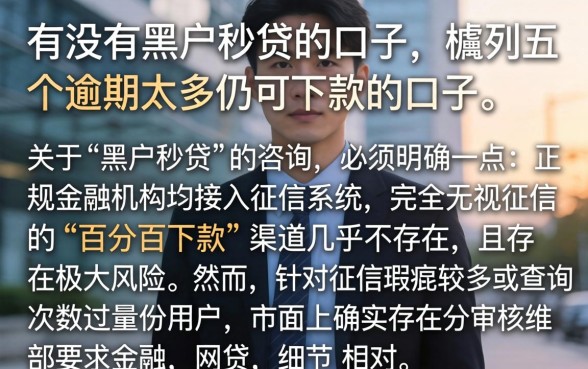 有没有黑户秒贷的口子，胪列五个逾期太多仍可下款的口子