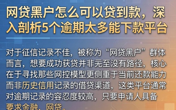 网贷黑户怎么可以贷到款，深入剖析5个逾期太多能下款平台