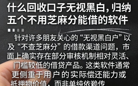 什么回收口子无视黑白，归纳五个不用芝麻分能借的软件