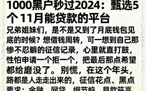 1000黑户秒过2026,甄选5个11月能贷款的平台