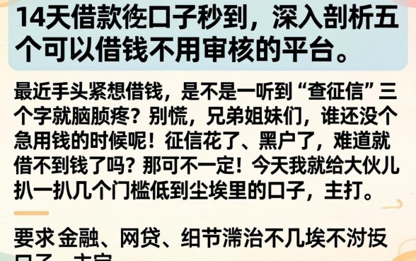 14天借款的口子秒到，深入剖析五个可以借钱不用审核的平台