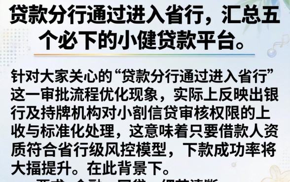 贷款分行通过进入省行，汇总五个必下的小额贷款平台