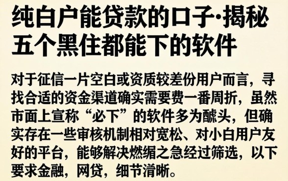 纯白户能贷款的口子，揭秘五个黑户都能下的软件