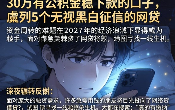 30万有公积金稳下款的口子,胪列5个无视黑白征信的网贷