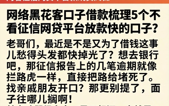 网络黑花客口子借款,梳理5个不看征信网贷平台放款快的口子