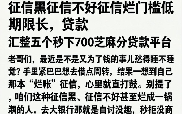 征信黑征信不好征信烂门槛低期限长的贷款,汇整五个秒下700芝麻分贷款平台