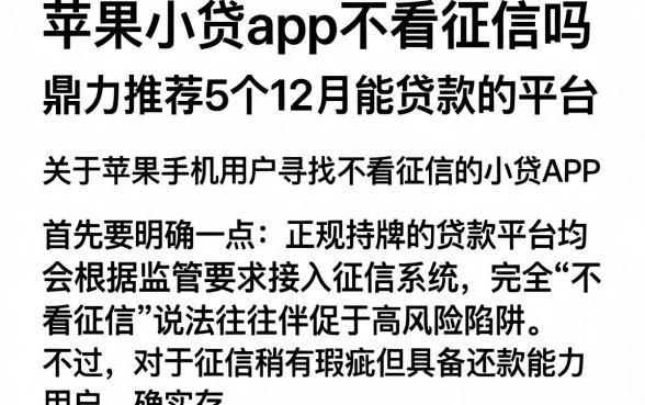 苹果小贷app不看征信吗,鼎力推荐5个12月能贷款的平台