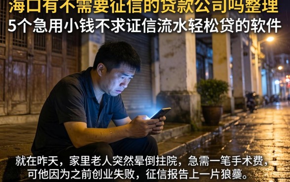 海口有不需要征信的贷款公司吗,整理5个急用小钱不求征信流水轻松贷的软件