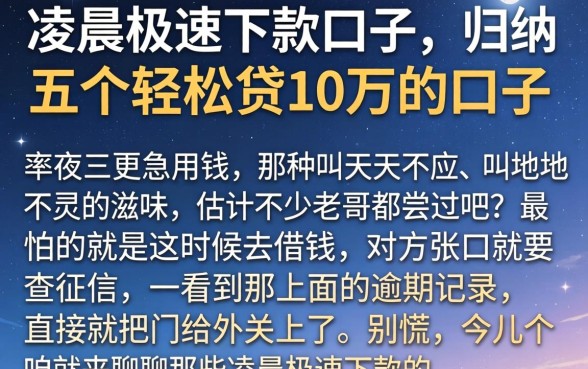 凌晨极速下款的口子，归纳五个轻松贷10万的口子
