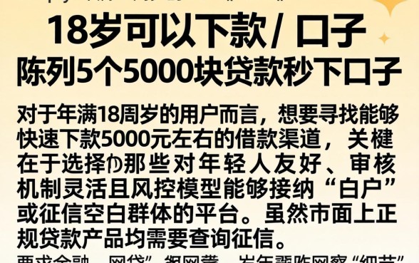 18岁可以下款的口子,陈列5个5000块贷款秒下口子