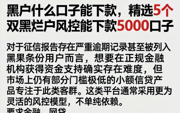 黑户什么口子能下款，精选5个双黑烂户风控能下款5000口子