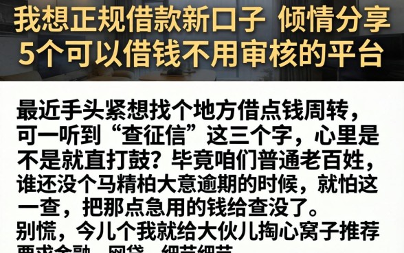 我想正规借款新口子，倾情分享5个可以借钱不用审核的平台