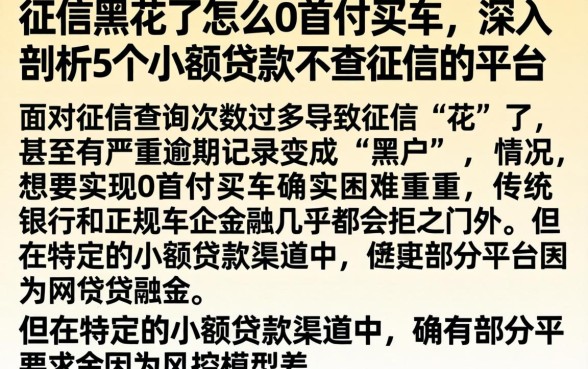 征信黑花了怎么0首付买车，深入剖析5个小额贷款不查征信的平台