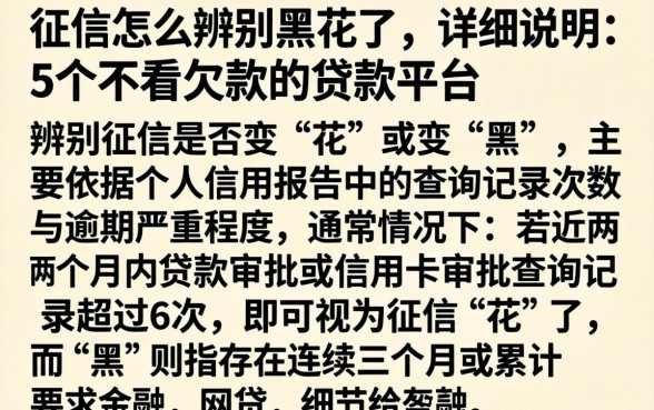 征信怎么辨别黑花了，详尽说明5个不看欠款的贷款平台