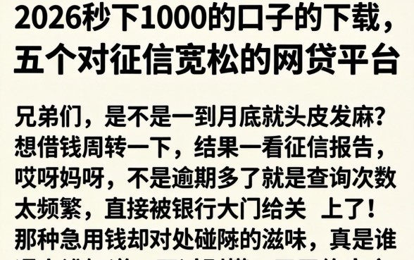 2026秒下1000的口子的下载，详尽说明五个对征信宽松的网贷平台