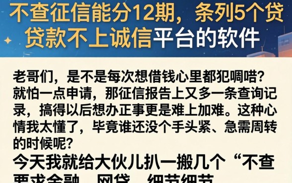不查征信能分12期，条列5个贷款不上诚信平台的软件