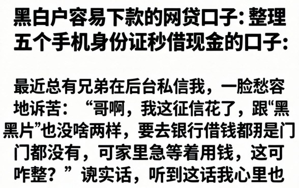 黑白户容易下款的网贷口子，整理五个手机身份证秒借现金的口子