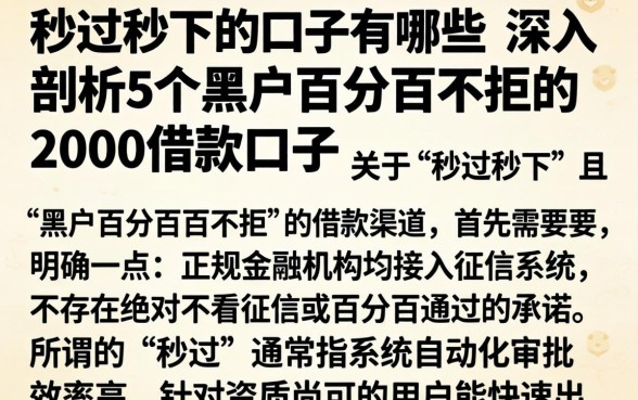 秒过秒下的口子有哪些，深入剖析5个黑户百分百不拒的2000借款口子