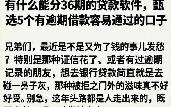 有什么能分36期的贷款软件，甄选5个有逾期借款容易通过的口子