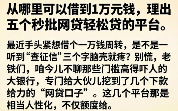 从哪里可以借到1万元钱,理出五个秒批网贷轻松贷的平台