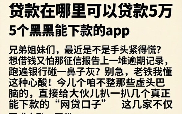 贷款在哪里可以贷款5万，详尽说明5个黑户能下款的app