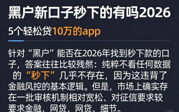 黑户新口子秒下的有吗2026,详细阐述5个轻松贷10万的app