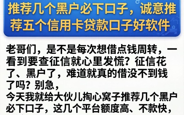 推荐几个黑户必下口子，诚意推荐五个信用卡贷款口子好软件
