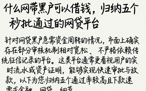 什么网带黑户可以借钱，归纳五个秒批通过的网贷平台