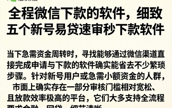 全程微信下款的软件，细致阐述五个新号易贷速审秒下款软件