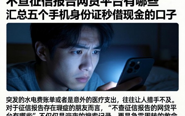 不查征信报告的网贷平台有哪些，汇总五个手机身份证秒借现金的口子