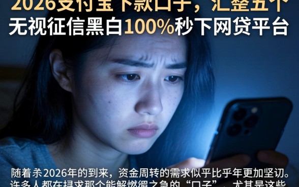 2026支付宝下款的口子，汇整五个无视征信黑白100%秒下网贷平台