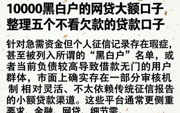10000黑白户的网贷大额口子,整理五个不看欠款的贷款口子