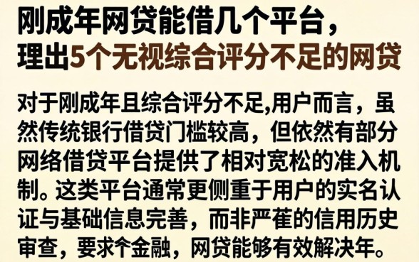 刚成年网贷能借几个平台，理出5个无视综合评分不足的网贷