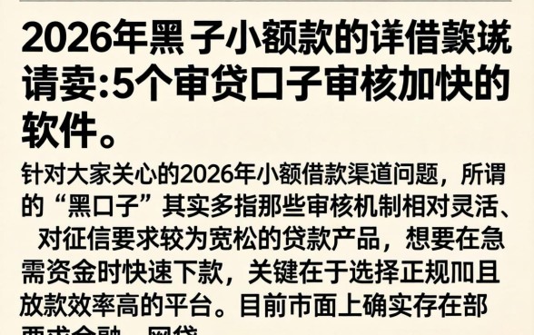 2026年黑口子小额贷款app，详尽说明5个审贷口子审核加快的软件