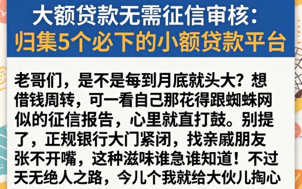 大额贷款无需征信审核，归集5个必下的小额贷款平台