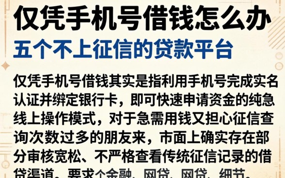 仅凭手机号借钱怎么办,详尽说明五个不上征信的贷款平台
