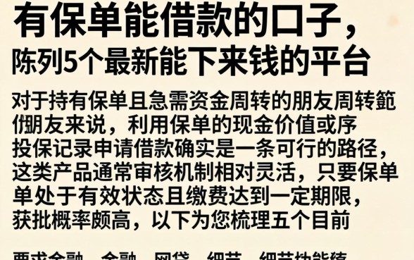 有保单能借款的口子，陈列5个最新能下来钱的平台
