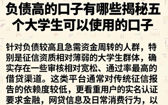 负债高的口子有哪些,揭秘五个大学生可以使用的口子