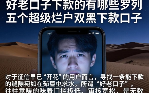 好老口子下款的有哪些,罗列五个超级烂户双黑下款口子