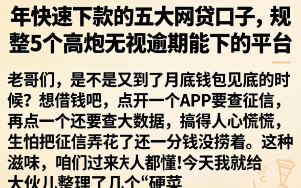 年快速下款的五大网贷口子，规整5个高炮无视逾期能下的平台