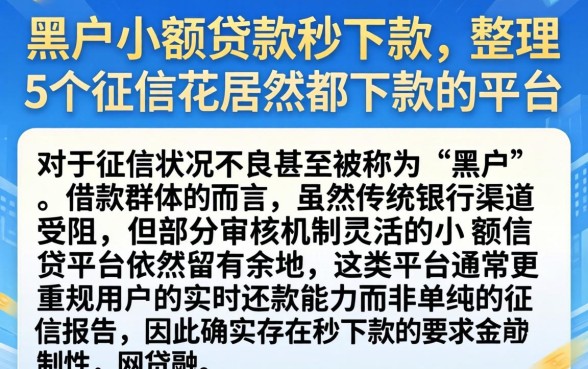 黑户小额贷款秒下款，整理5个征信花居然都下款的平台