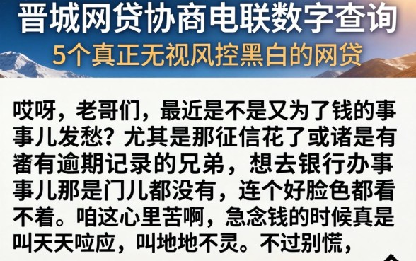 晋城网贷协商电联数字查询，详尽说明5个真正无视风控黑白的网贷