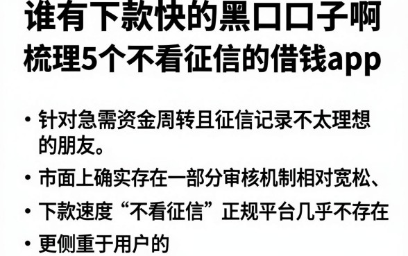 谁有下款快的黑口子啊,梳理5个不看征信的借钱app