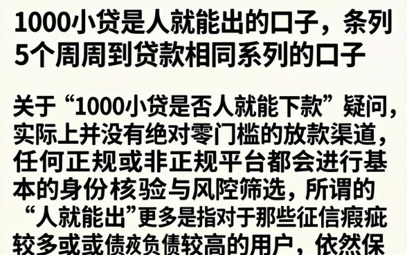1000小贷是人就能出的口子，条列5个周周到贷款相同系列的口子