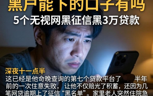 黑户能下的口子有吗，详细阐述5个无视网黑征信黑3万贷款